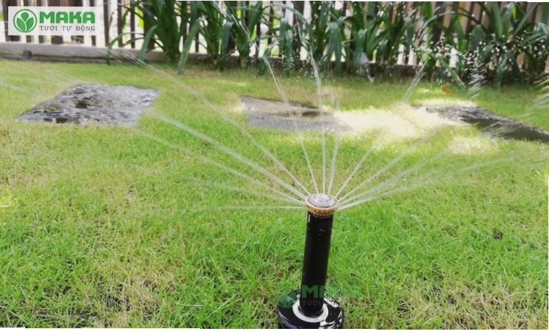 Các loại béc tưới cỏ được ưa chuộng