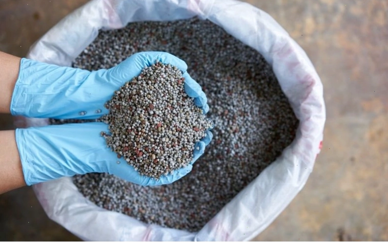 Các loại phân lân phổ biến trên thị trường