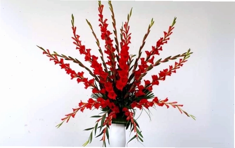 Cắm hoa huệ đỏ dáng rủ mang vẻ đẹp hiện đại