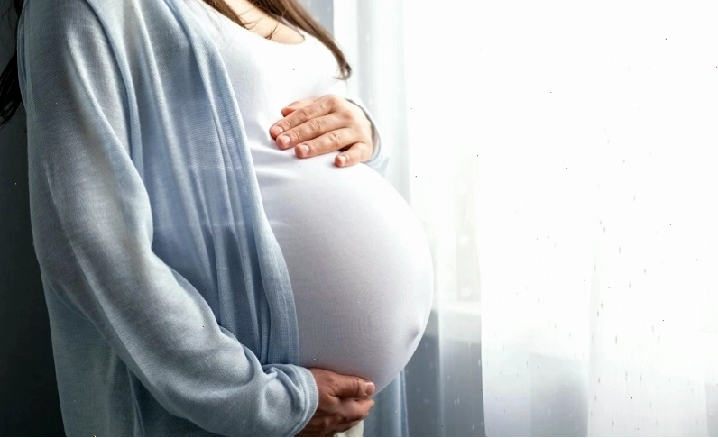 Cấu tạo cơ bản của tuyến vú