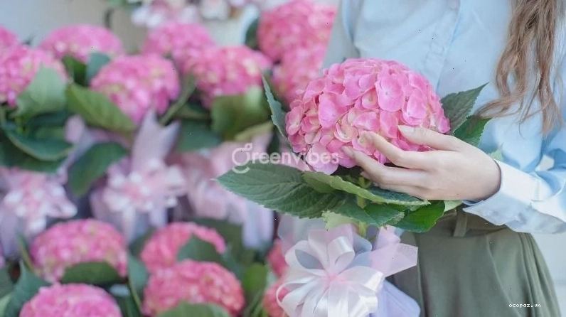 Cây chuỗi ngọc với hoa vàng rủ xuống ban công