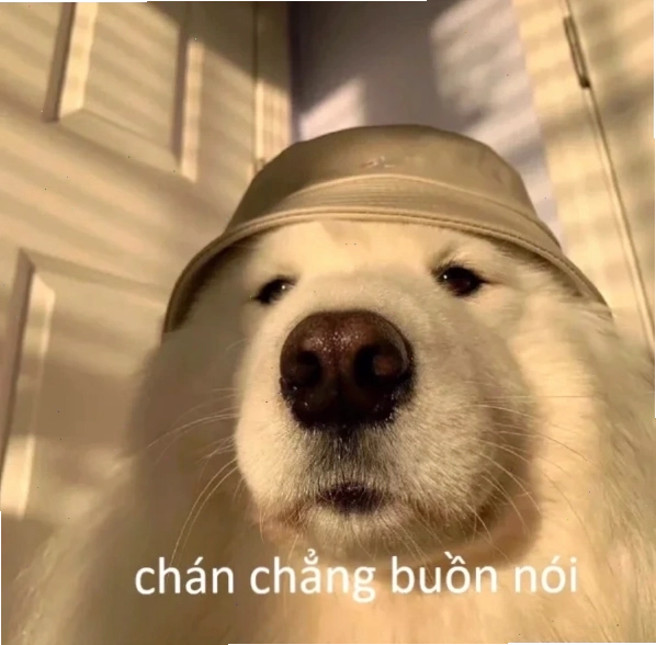 Chán chẳng buồn nói meme với gương mặt thiểu não