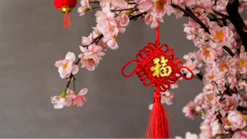 Chậu đào tết tài lộc, chúc xuân an khang