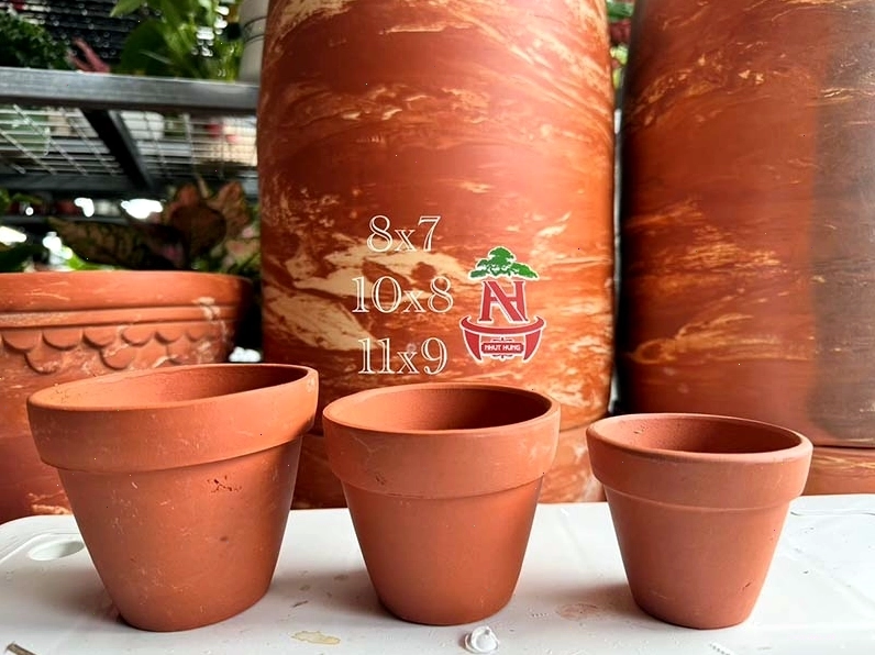 Chậu gốm sứ nhỏ nhắn thích hợp trồng mai để bàn