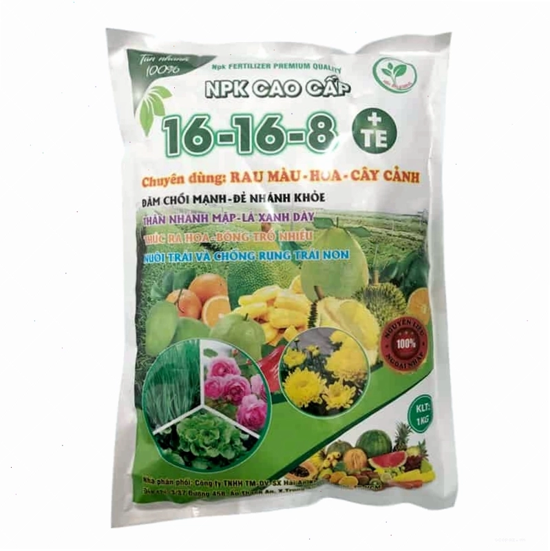Chậu hoa hồng tươi tốt nhờ bón phân NPK