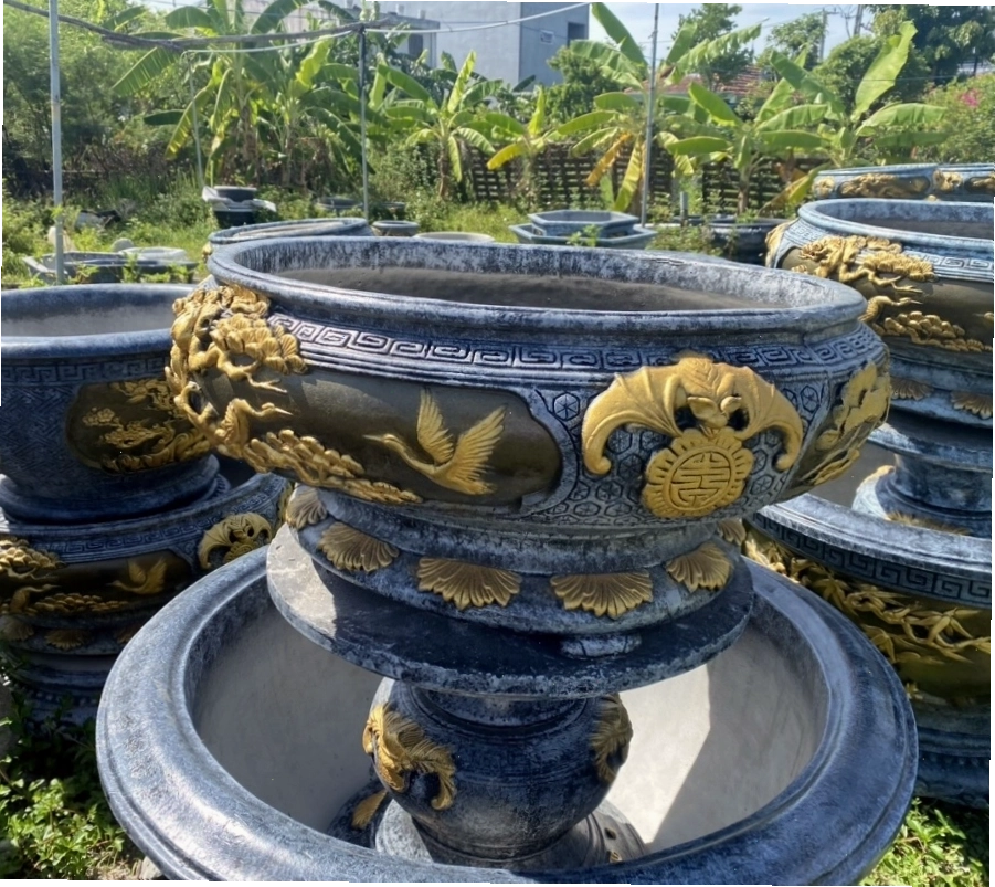 Chậu trồng mai bonsai dáng thấp