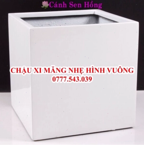 Chậu xi măng nhẹ hình vuông, phù hợp để trồng cây cảnh như hoa sen