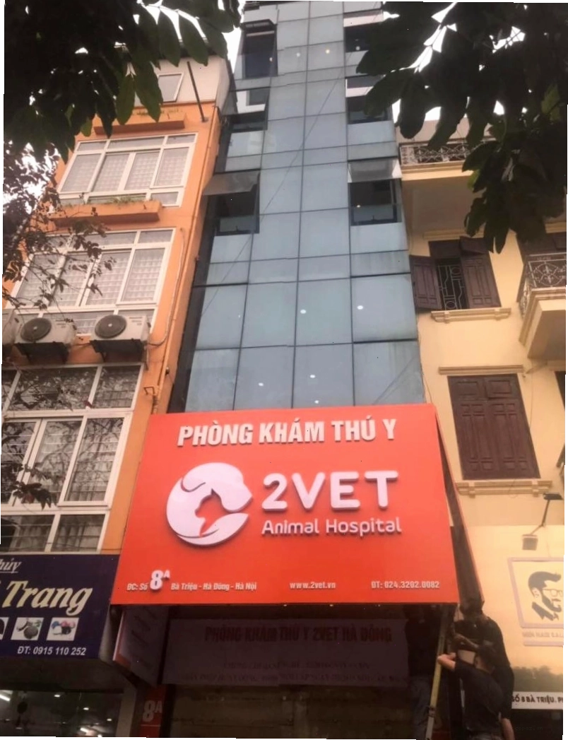 Cơ sở vật chất hiện đại của Bệnh viện thú y 2Vet Hà Đông