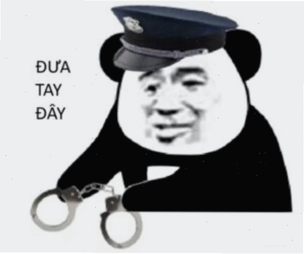 công an meme (7)