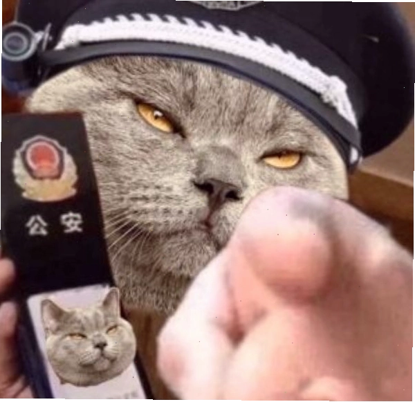 công an meme (9)