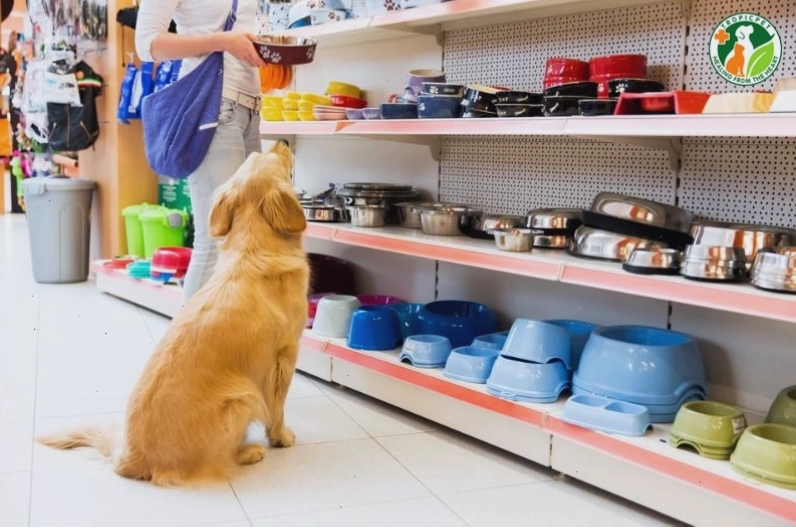 Cửa hàng Pet Shop cung cấp thức ăn và phụ kiện cho thú cưng