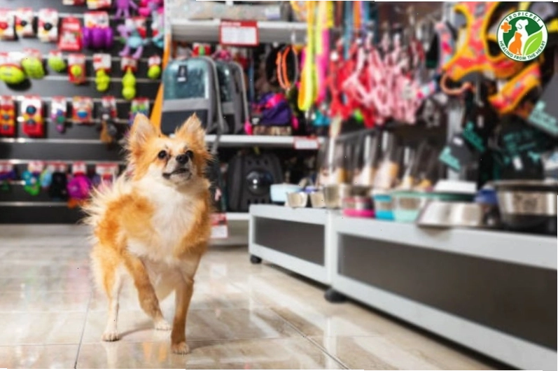 Cửa hàng Pet Shop tại Hà Đông cung cấp đa dạng sản phẩm cho thú cưng