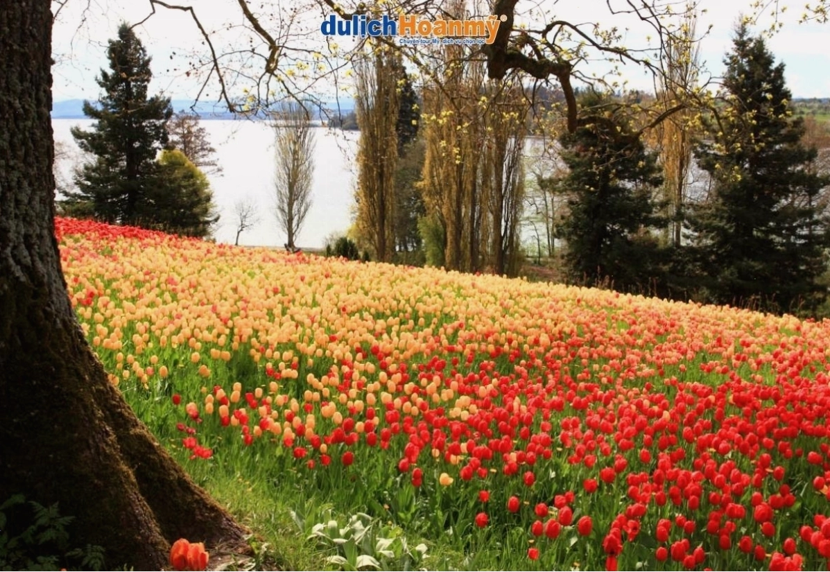 Đảo Mainau Đức