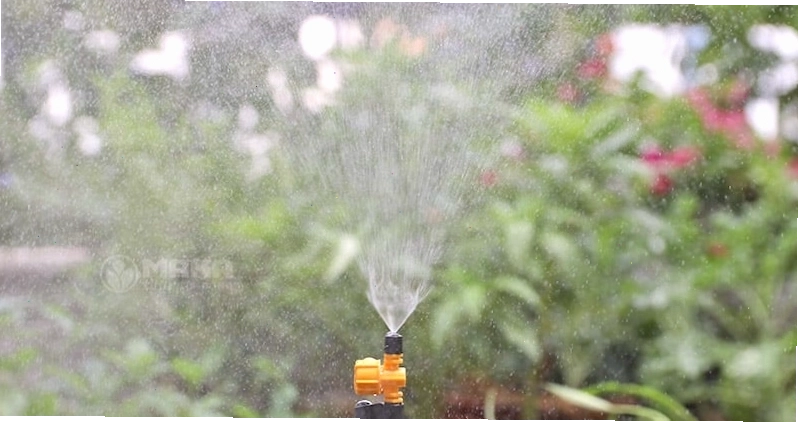 Đầu phun tưới phun sương Vari Mist Jets đang hoạt động