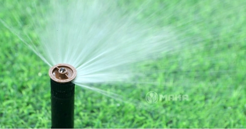 Đầu tưới cỏ Pop-up Rainbird