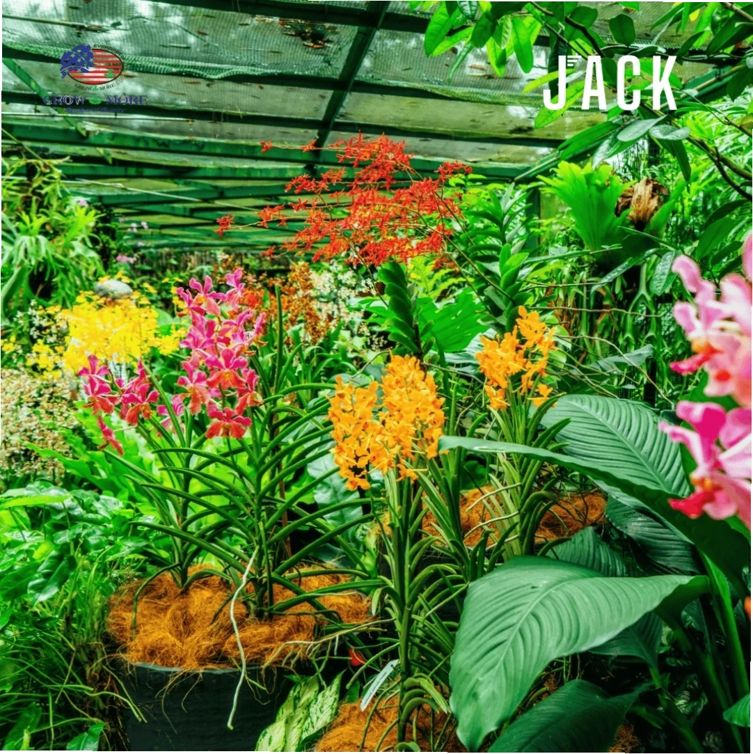 Hiệu quả của phân bón Grow More 30-10-10