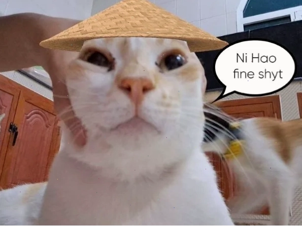 Hihi meme