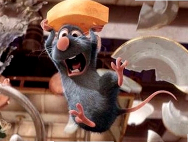 Hình ảnh meme chuột nhà hài hước