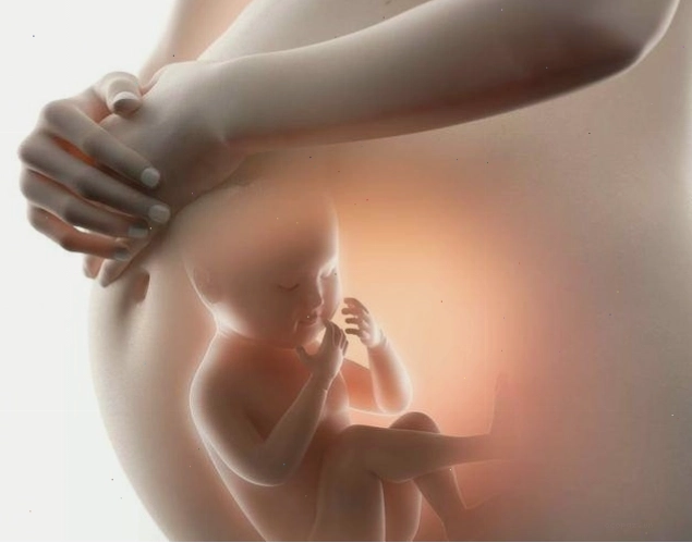 Hình ảnh minh họa quá trình phát triển vòng 1 ở nữ giới