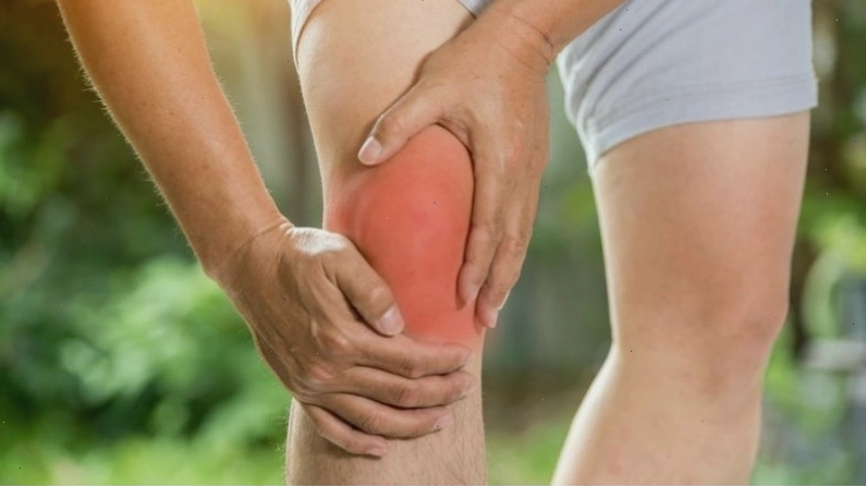 Hoa chuông chứa nhiều thành phần alkaloid tropane có tiềm năng trong việc giảm đau