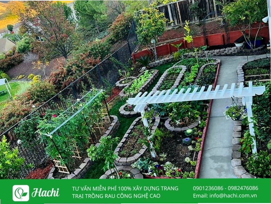 Hoàn thiện bồn hoa bằng gạch với lớp đất trồng