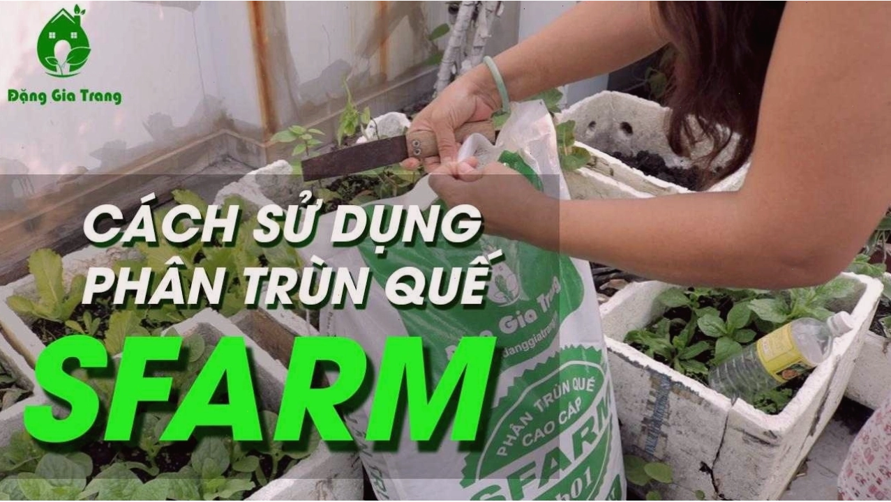 Hướng dẫn sử dụng phân trùn quế SFARM