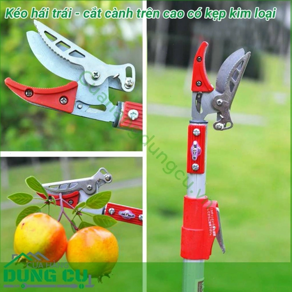 Kéo cắt cành hái trái trên cao có tay bấm 4m