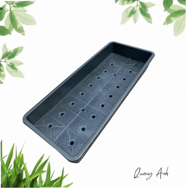 Khay nhựa chữ nhật có kích thước lớn, phù hợp trồng cây ăn quả