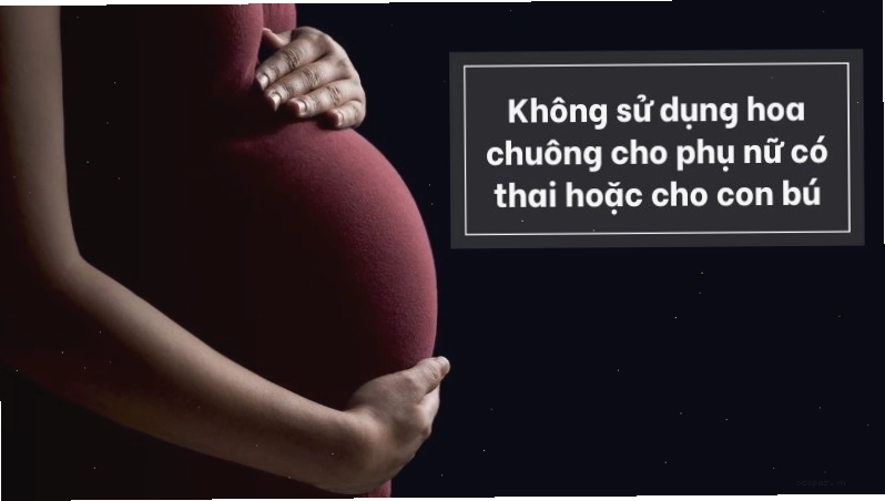 Không dùng hoa chuông cho phụ nữ có thai và cho con bú để đảm bảo an toàn