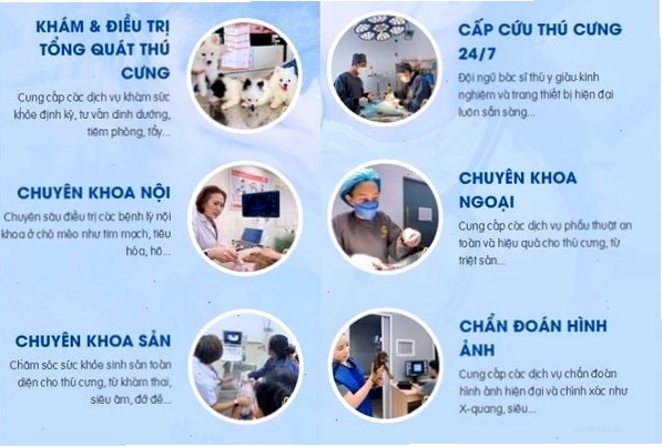 Không gian phòng khám sạch sẽ tại bệnh viện thú y
