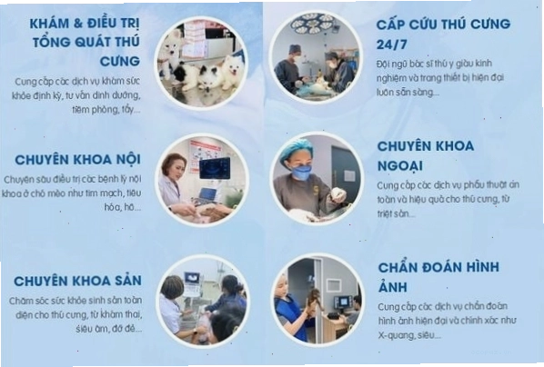 Khu vực điều trị nội trú tại bệnh viện thú y