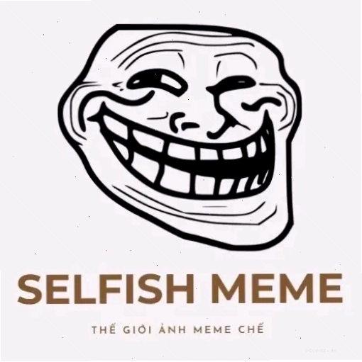 Logo The Selfish Meme