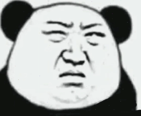 Mặt gấu meme với vẻ mặt khinh bỉ