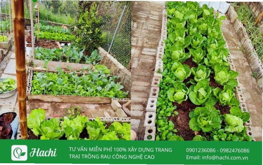 Mẫu bồn hoa bằng gạch xếp theo hình tròn sáng tạo