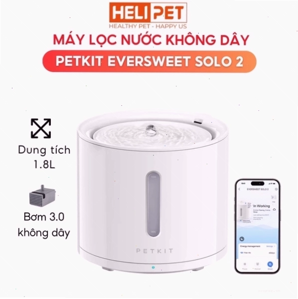 Máy lọc nước PETKIT cung cấp nguồn nước sạch cho mèo