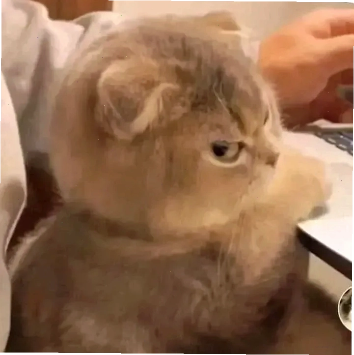 Meme cay cú khi đồng đội phá hỏng chiến thắng