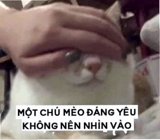 Meme che mắt ngại ngùng