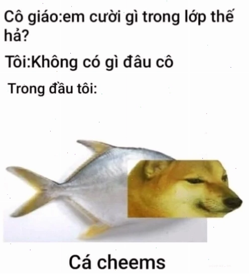 Meme Cheems Việt Nam với câu nói hài hước