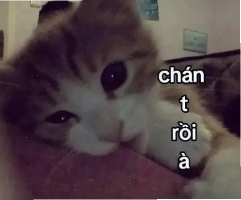 Meme chia tay với hình ảnh buồn bã nhưng đáng yêu