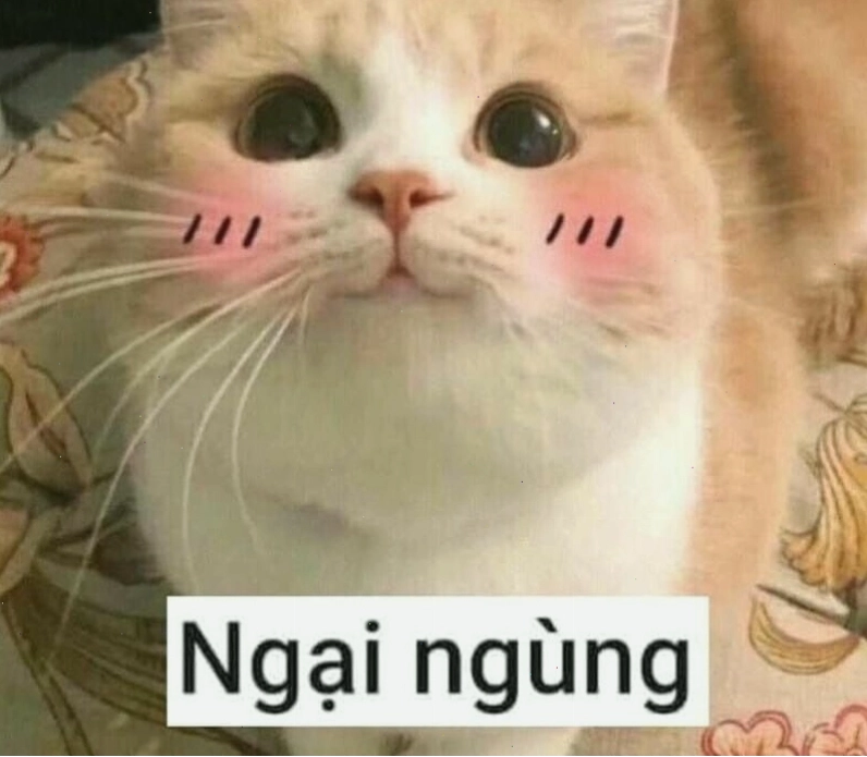Meme chim cánh cụt ngại ngùng