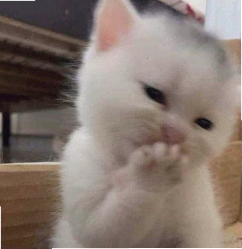 Meme chú sóc ngại ngùng