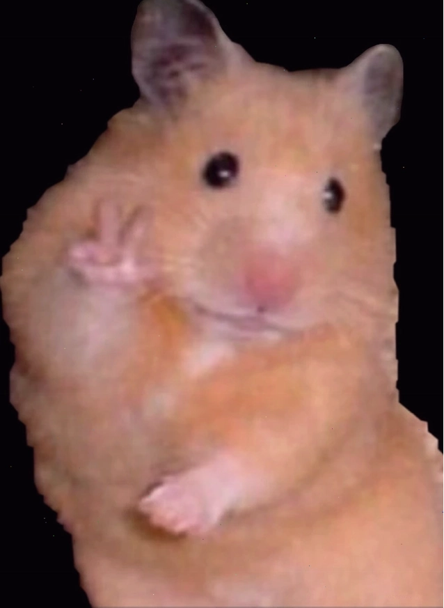 Meme chuột giơ tay đồng ý