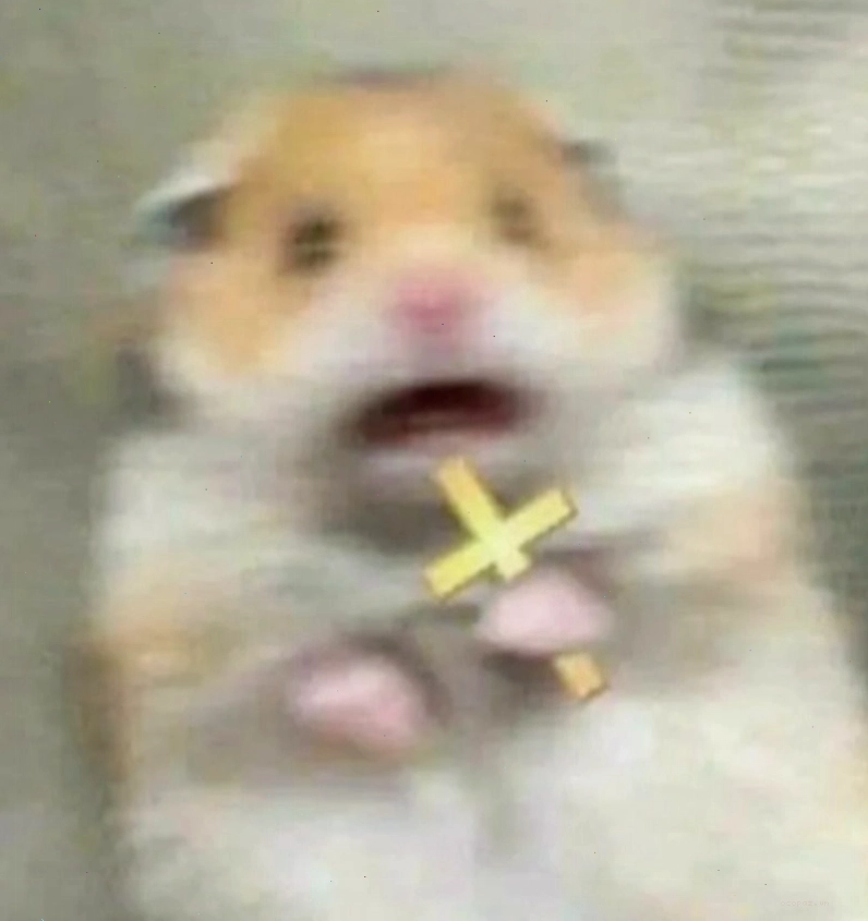 Meme chuột hamster biểu cảm ngộ nghĩnh