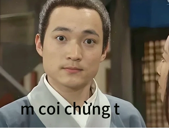 meme coi chừng tao phiên bản mèo