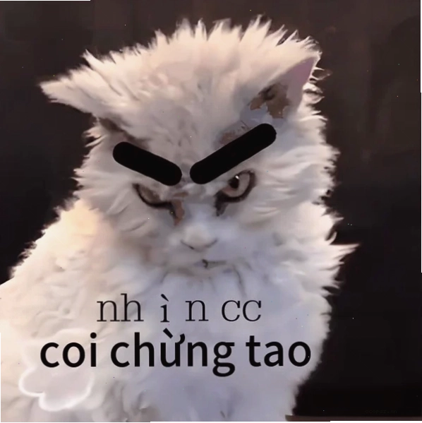 meme coi chừng tao phiên bản người nổi tiếng