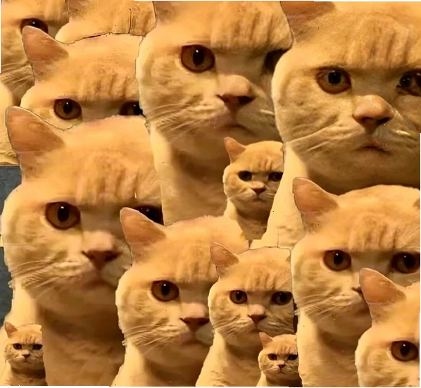 meme coi chừng tao phiên bản "troll"