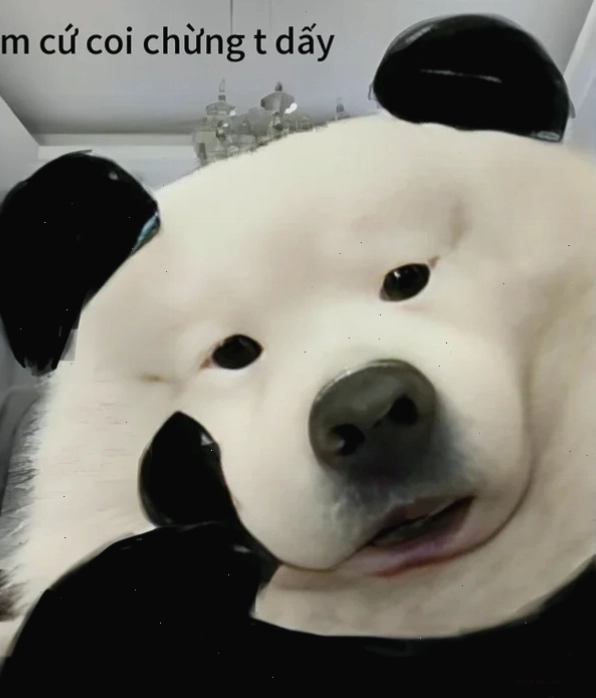 meme coi chừng tao thể hiện sự bất mãn