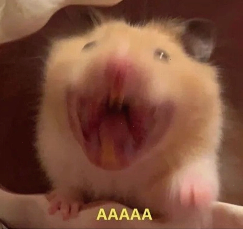 Meme con chuột hét lên