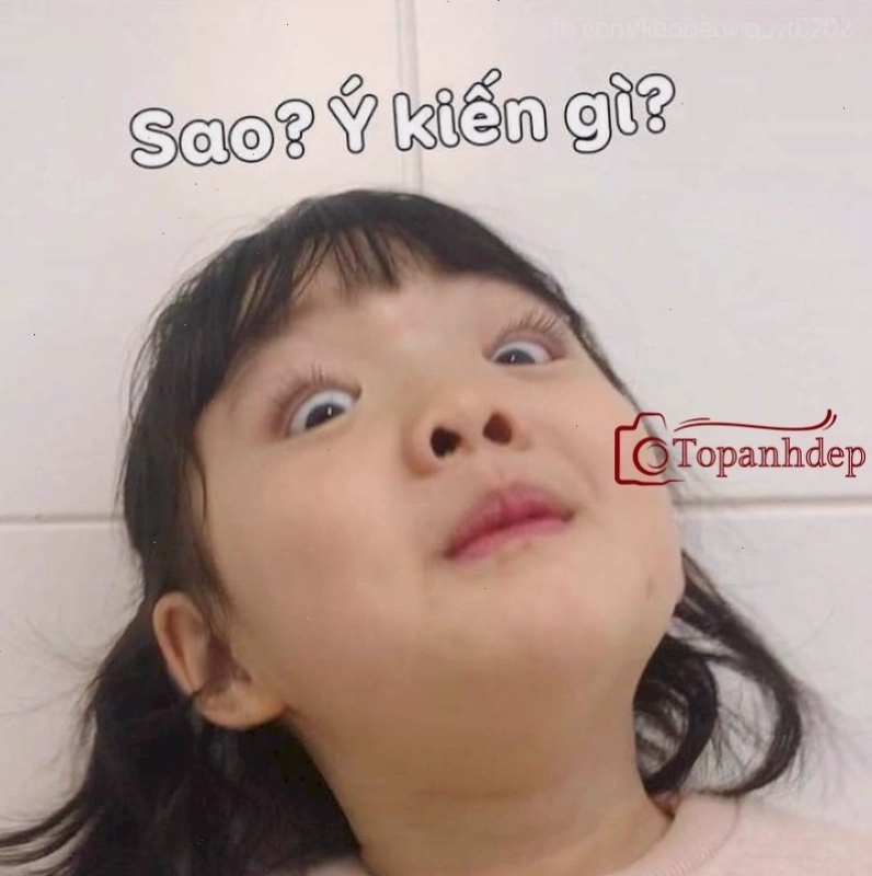 Meme em bé cute hài hước