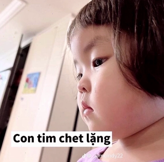 Meme em bé Hàn Quốc với biểu cảm "chết lặng" vì quá sốc